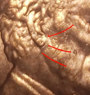 2014-D-Cent-It-Has-A-J-Mint-Under-Ear,-Also-Possible-DDO