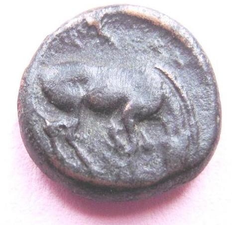 This-Coin-Made-My-Day-: