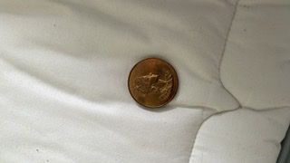 Mystery-Coin-Please-Help