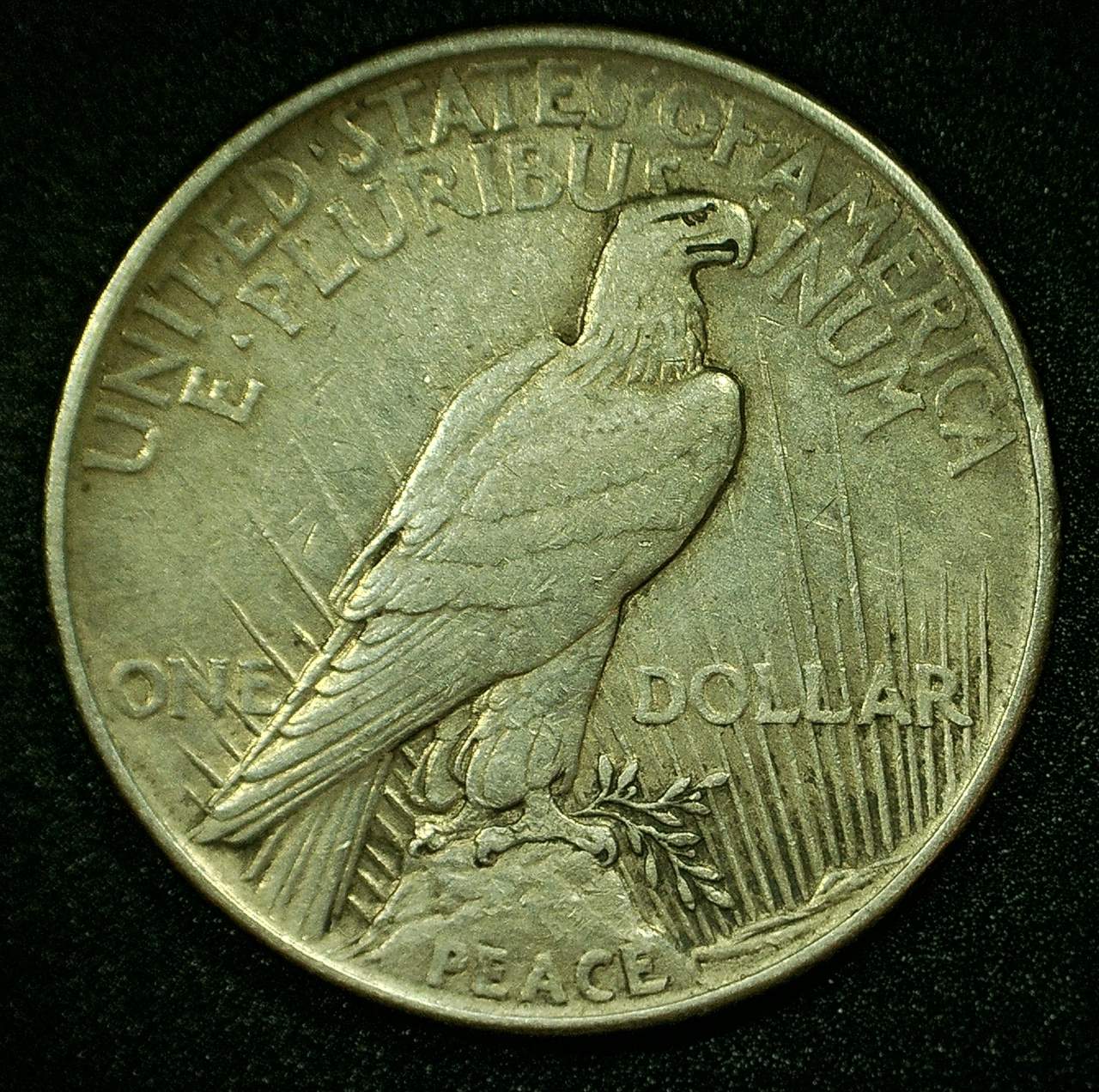 1921-Peace-Dollar---Grade-And-Error?