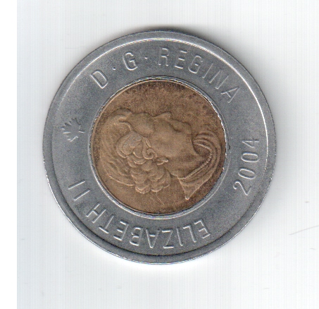 Counterfeit-Toonies?
