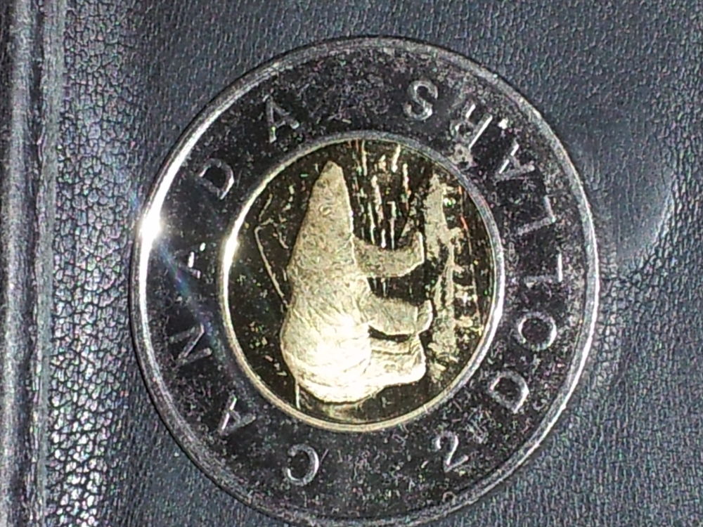 $2-2003-W-In-Change!-Post-Your-Wild-Proof-Find!
