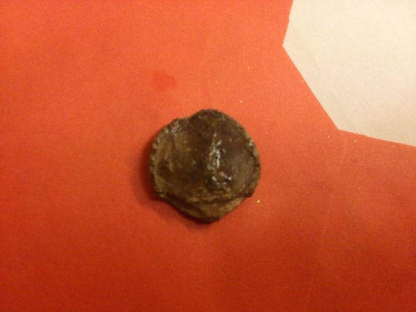 Help-Identify-Metal-Detecting-Find