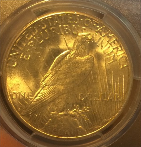 1922-S-Peace-Dollar---Blast-White-Or-Bad-Eye-Appeal?