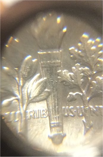 Full-Bands-On-Reverse-Of-Roosevelt-Dime-What-Are-They-Talking-About?