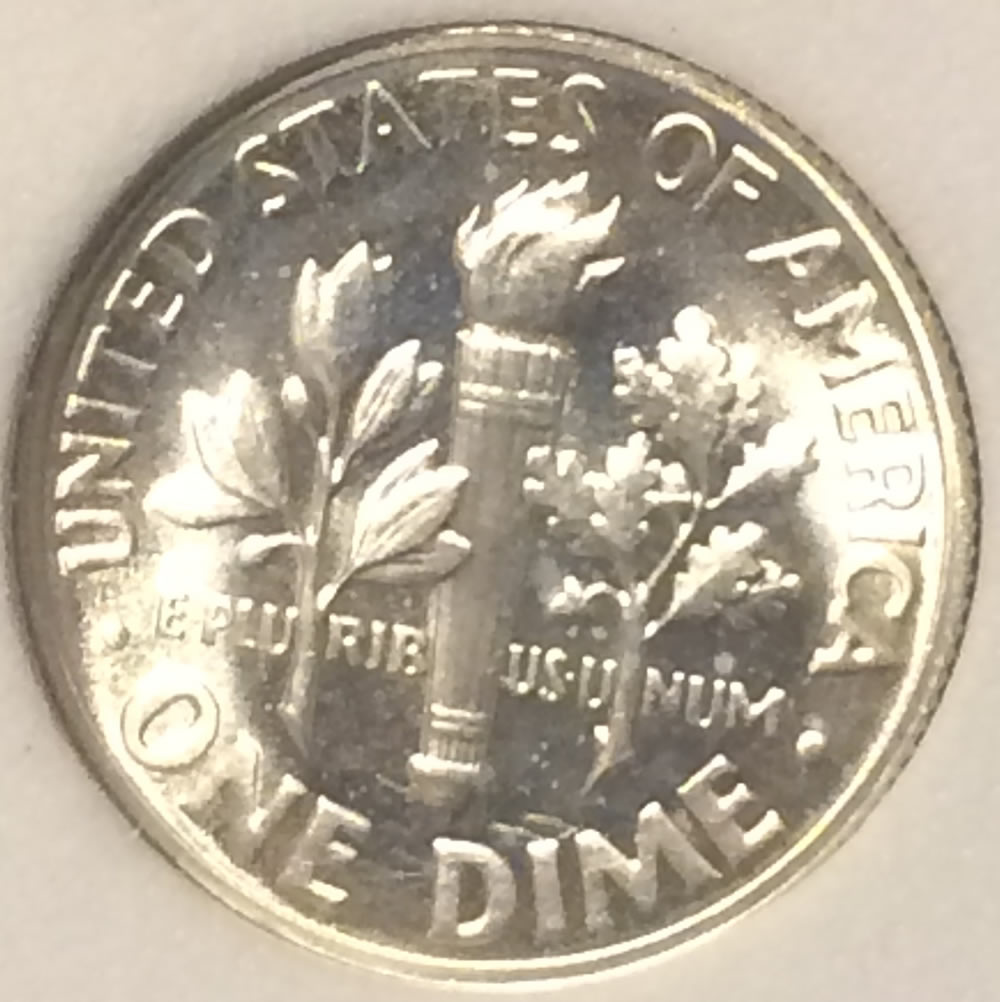 Roosevelt-Dime---What-Do-You-Think?