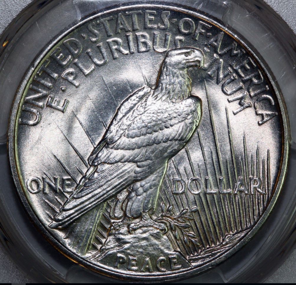 Why-Did-This-1921-Peace-Dollar-Grade-