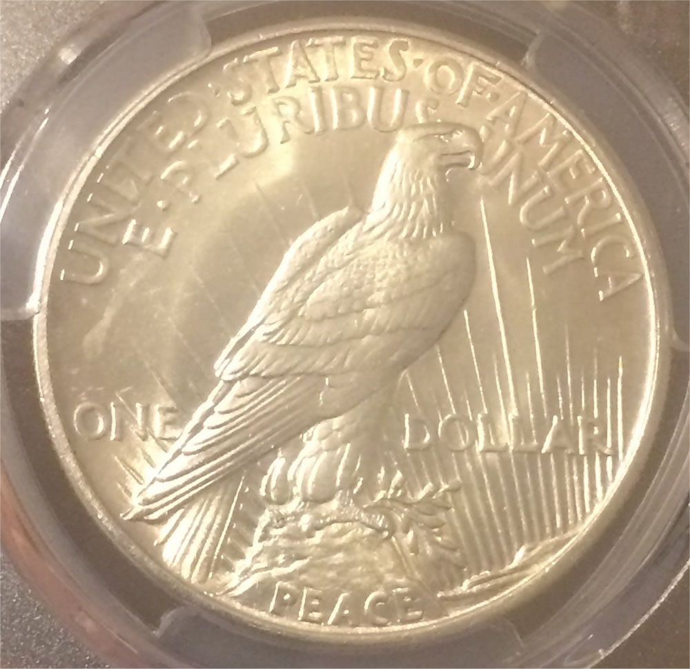 Why-Did-This-1921-Peace-Dollar-Grade-