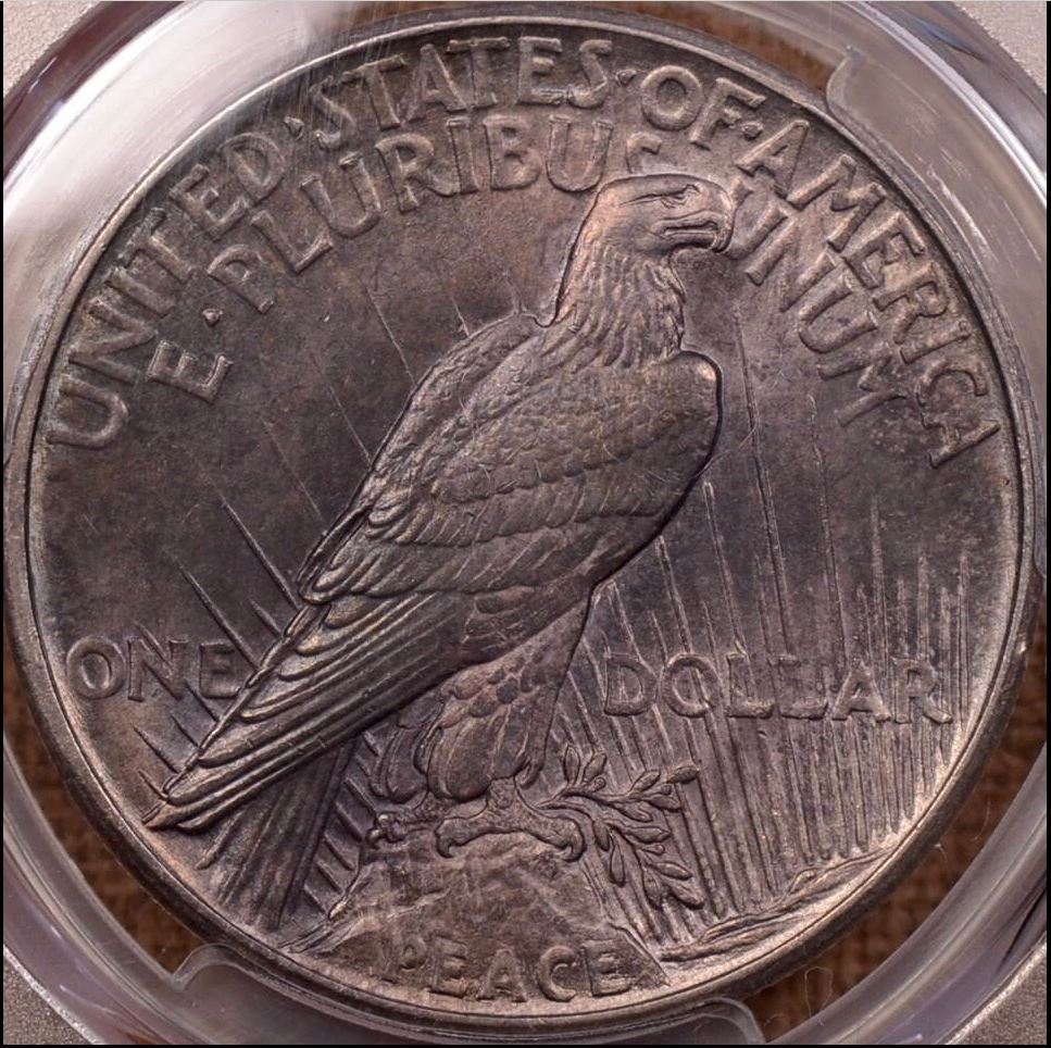 Your-Thoughts-On-Grade-And-Strike-Quality-Of-This-Dark-Toned-1921-Peace?