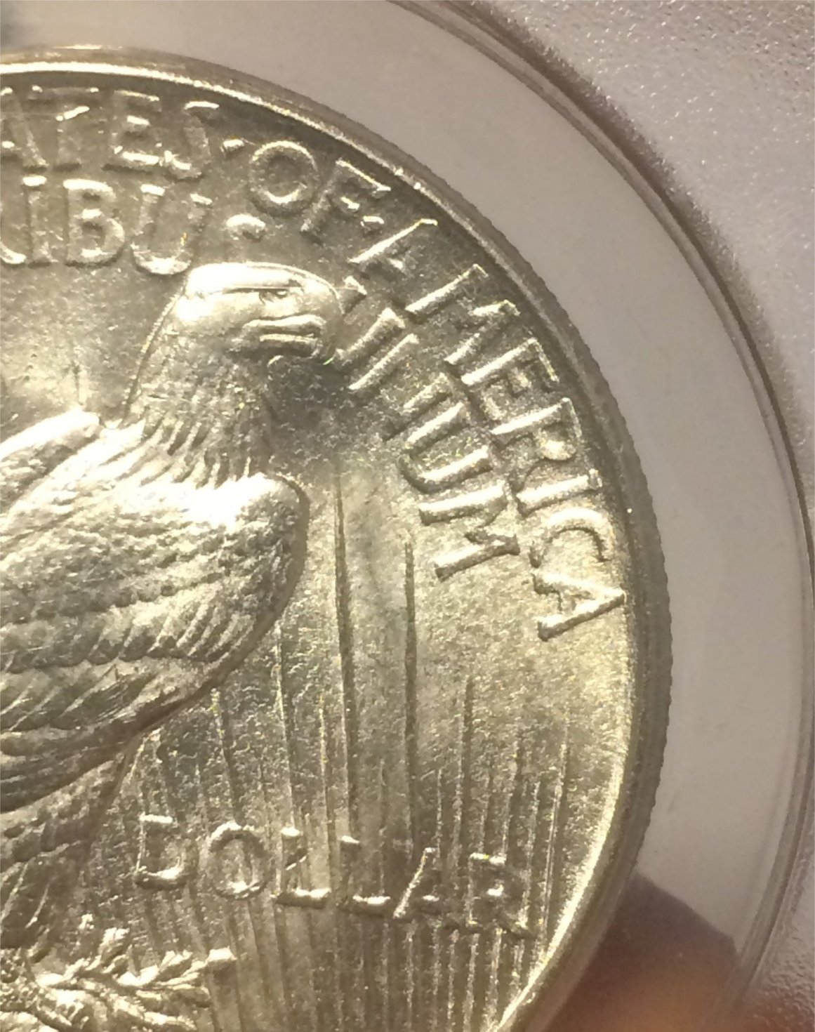 1921-Peace-Dollar---VAM1-H-Satin-Proof-Dies-With-Polishing-Lines