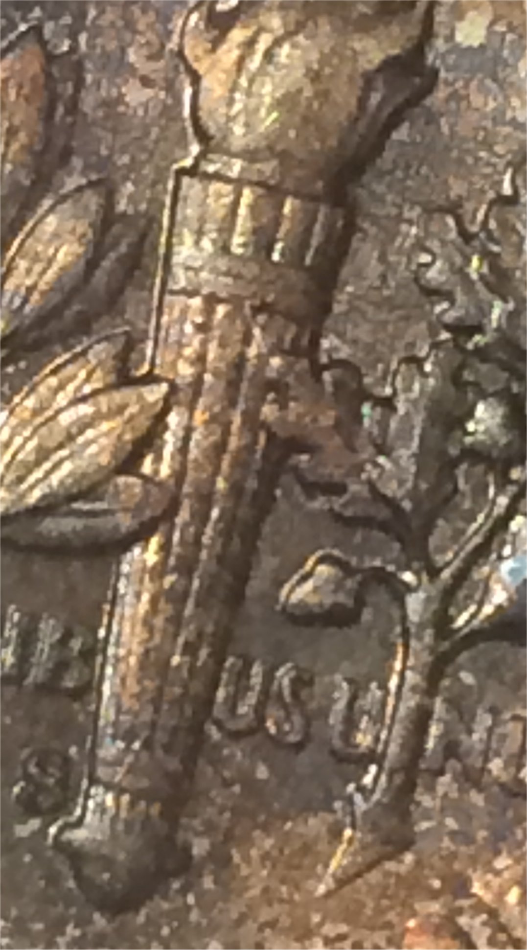 1949-S-Roosevelt-Dime---Rainbow-Toned-In-Fatty-NGC.--Could-It-Make-Ft?