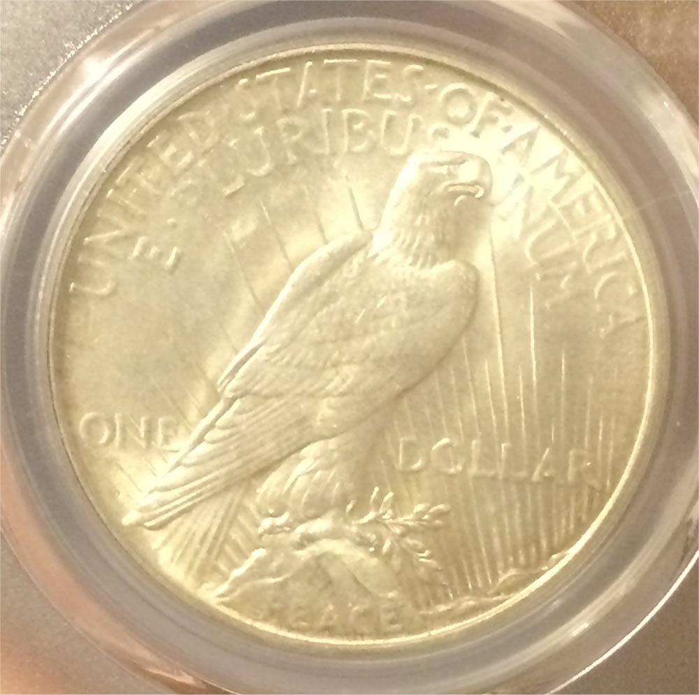 1927-D-Peace-Dollar---Grade-And-Opinion
