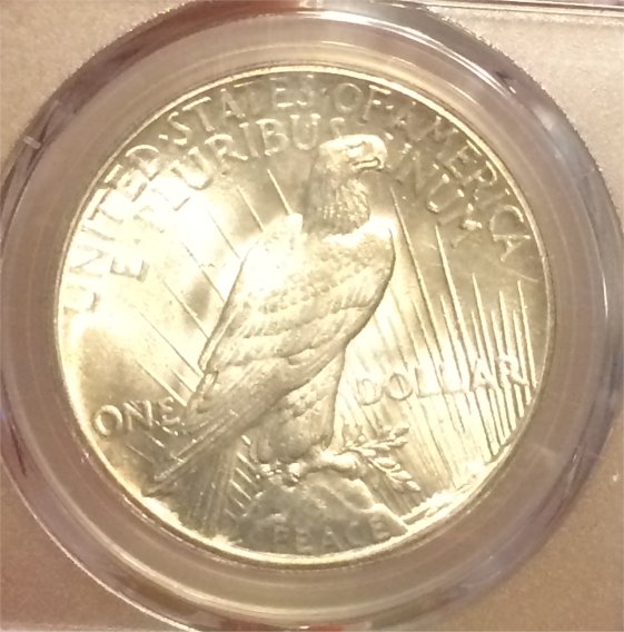 1927-P-Peace-Dollar----You-Vs-PCGS