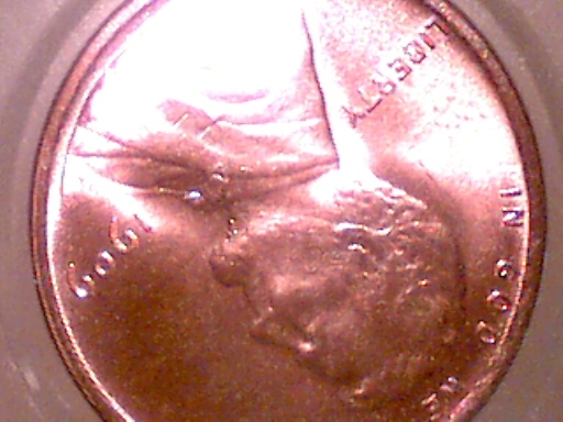 1909-V.d.b-Red,-Grade?