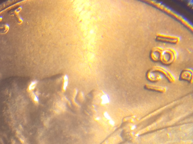 1981-D-LMC-Grade-Please.