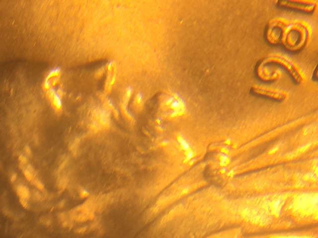 1981-D-LMC-Grade-Please.