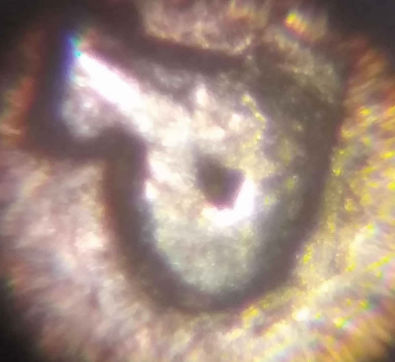 1983-P-Quarter.-No-Lip-To-Nose-Connection-And-Nostrile-Is-Completely-Missin