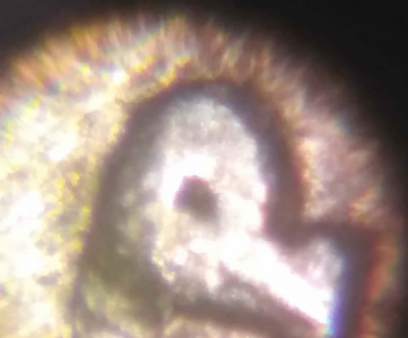 1983-P-Quarter.-No-Lip-To-Nose-Connection-And-Nostrile-Is-Completely-Missin