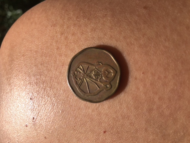 No-Words,-No-Numbers,-No-Clues.-Id:-Aladdin's-Castle-Arcade-Token
