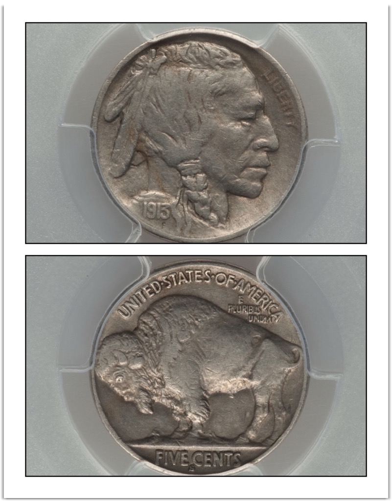 1913-D-Type-2-Buffalo-Nickel---I-Took-A-Chance