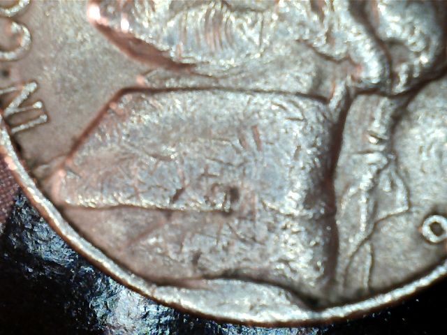 My-Latest-Nickel-Cud