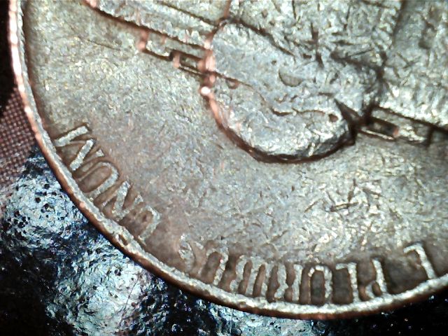 My-Latest-Nickel-Cud