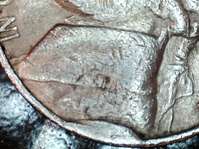 My-Latest-Nickel-Cud