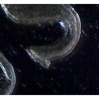 I-Found-80-Variety-Coins-And-Another-100-Or-So-Error-Coins..