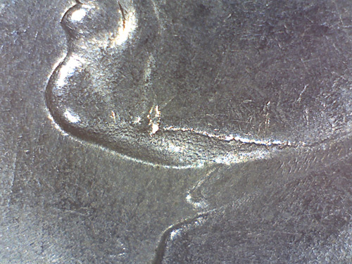 Help-With-Celestron-44302-A---Green/Garbled-Image