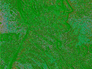Help-With-Celestron-44302-A---Green/Garbled-Image