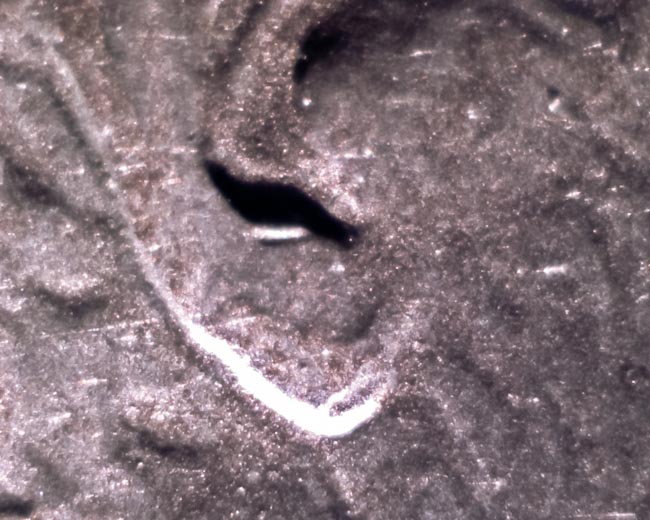 Help-With-1997-D-Lincoln-Cent-Doubled-Ear?