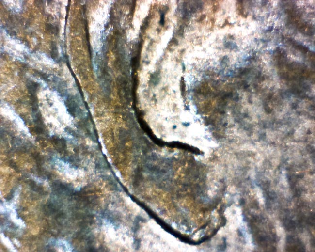 Help-With-1997-D-Lincoln-Cent-Doubled-Ear?
