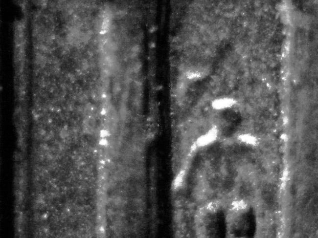 2002P-1c-DDR?-Look-And-See!