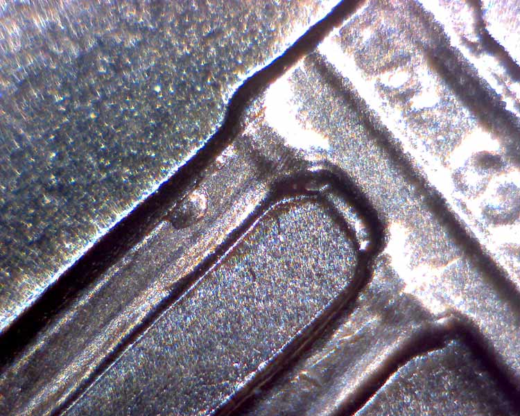 2006-P-DDO-Help-With-ID---Can't-Find-Major-Marker-Match
