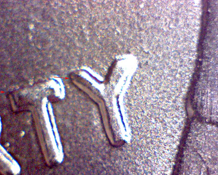 2006-P-DDO-Help-With-ID---Can't-Find-Major-Marker-Match