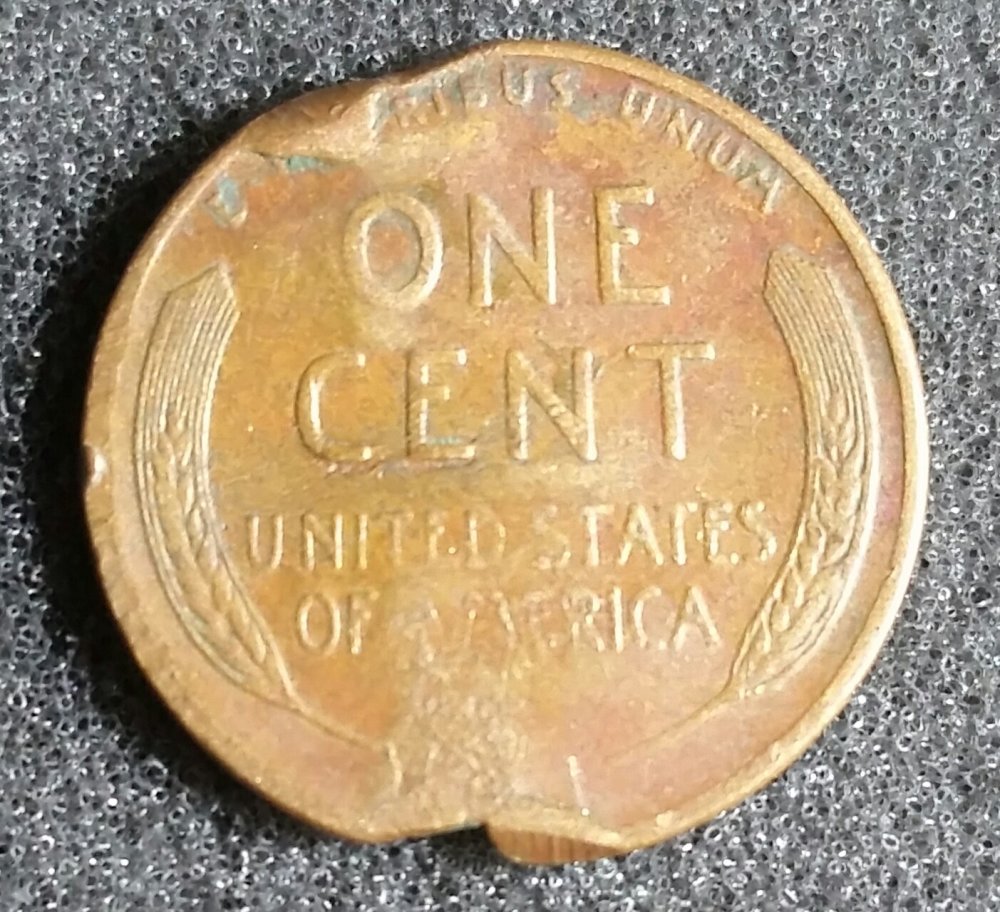 Check-Out-This-Ebay-Wheatie-Score!
