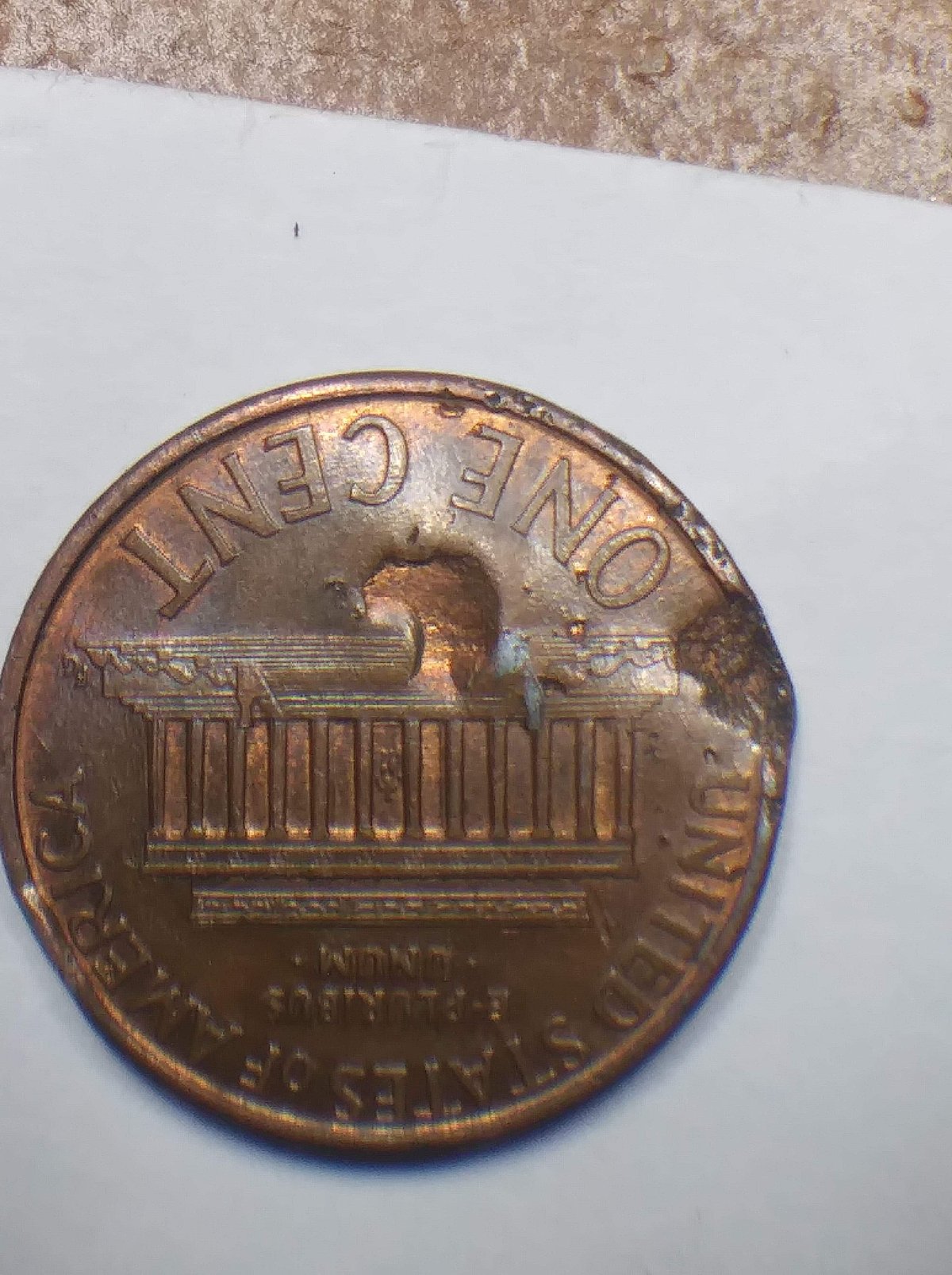 Need-Help-Identifying