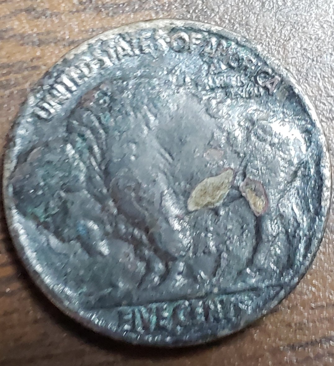 Buffalo-Nickel-Not-Sure-What-To-Think-Just-Environmental?