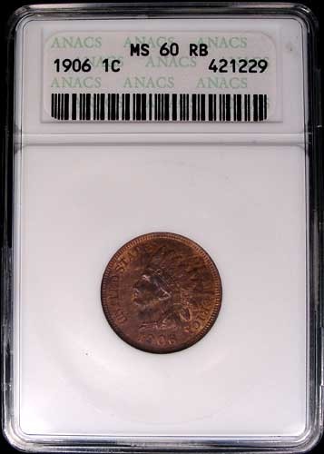 You-Vs-ANACS.....1906-Woody/Tiger-Stripe-IHC