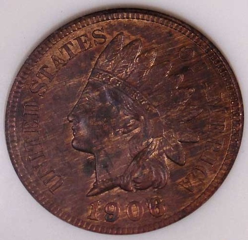 You-Vs-ANACS.....1906-Woody/Tiger-Stripe-IHC