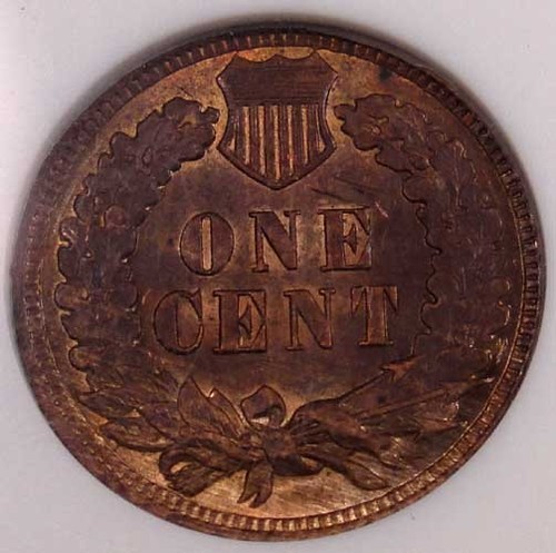 You-Vs-ANACS.....1906-Woody/Tiger-Stripe-IHC