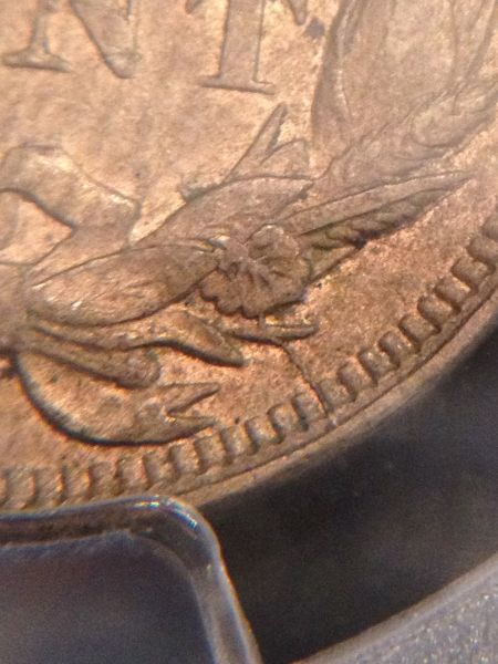 1857-Flying-Eagle---Any-Ideas-On-What-Variety?
