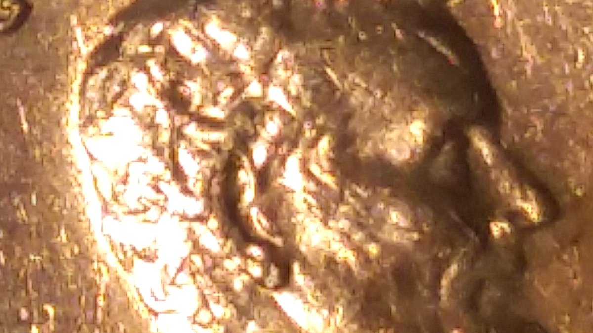 1980-Lincoln-Cent-With-A-Possible-Doubling-Or-Ear-Chip.-Help,-Please!