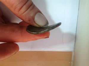 Help-Identifying-?-Geta-Ae22-Coin.