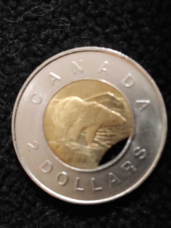 New-Guy-With-A-Clipped-Toonie
