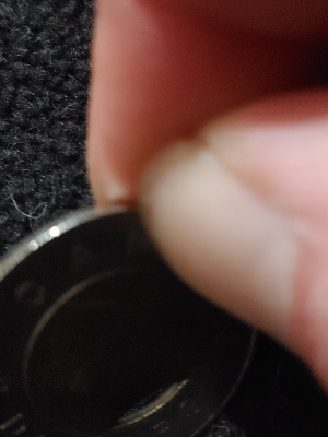 New-Guy-With-A-Clipped-Toonie