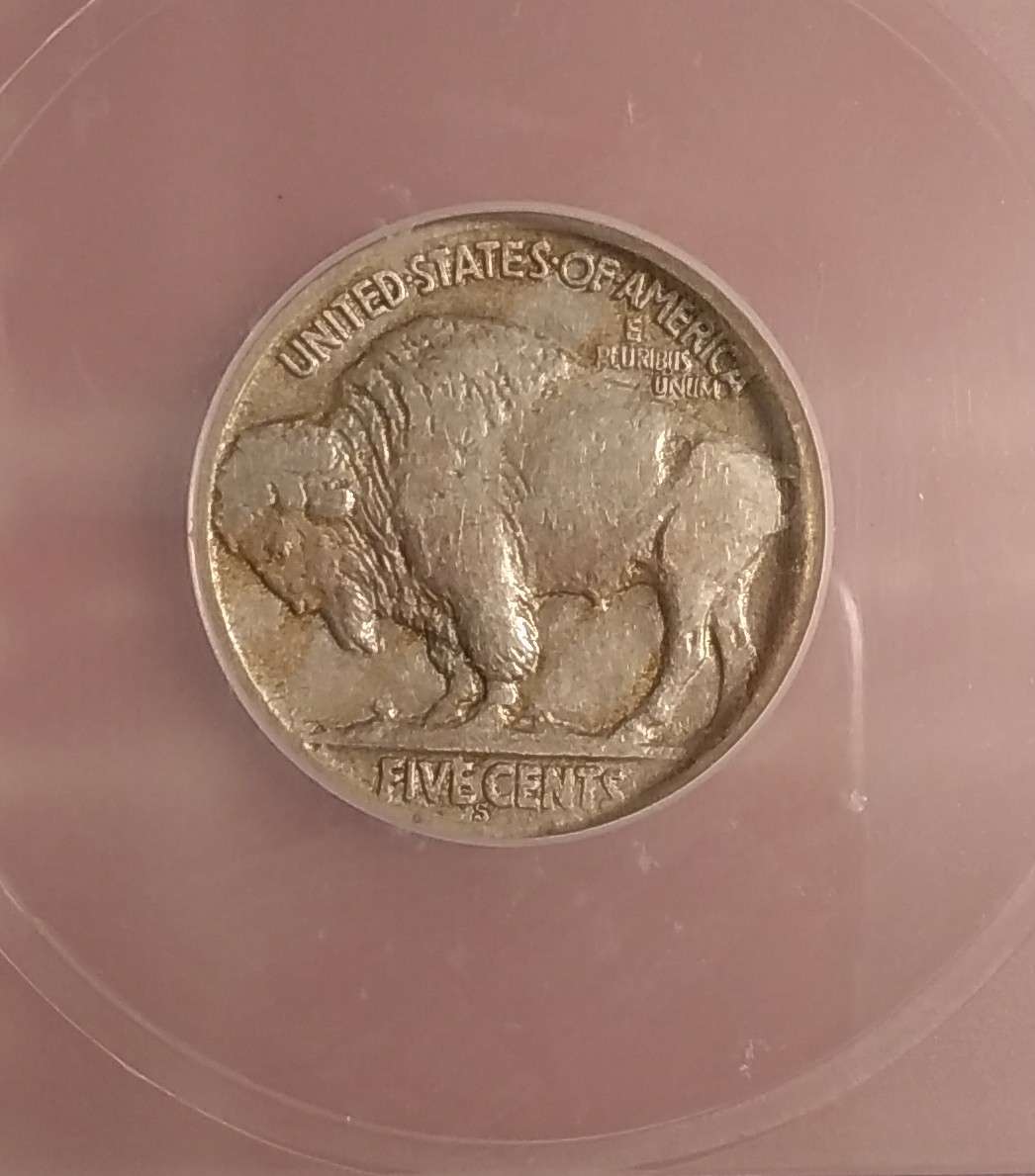 1925-S-Buffalo-Nickel-For-Grade-Opions-You-Vs-TPG