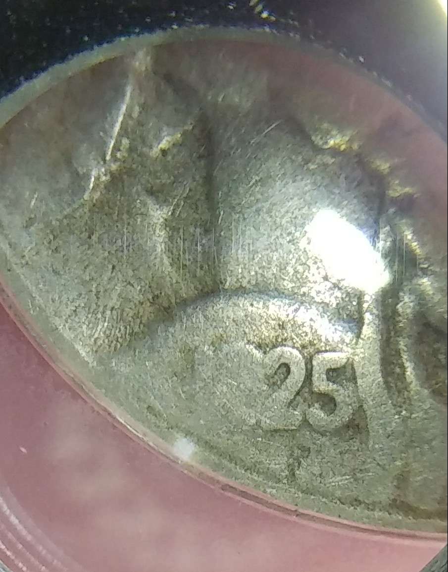 1925-S-Buffalo-Nickel-For-Grade-Opions-You-Vs-TPG