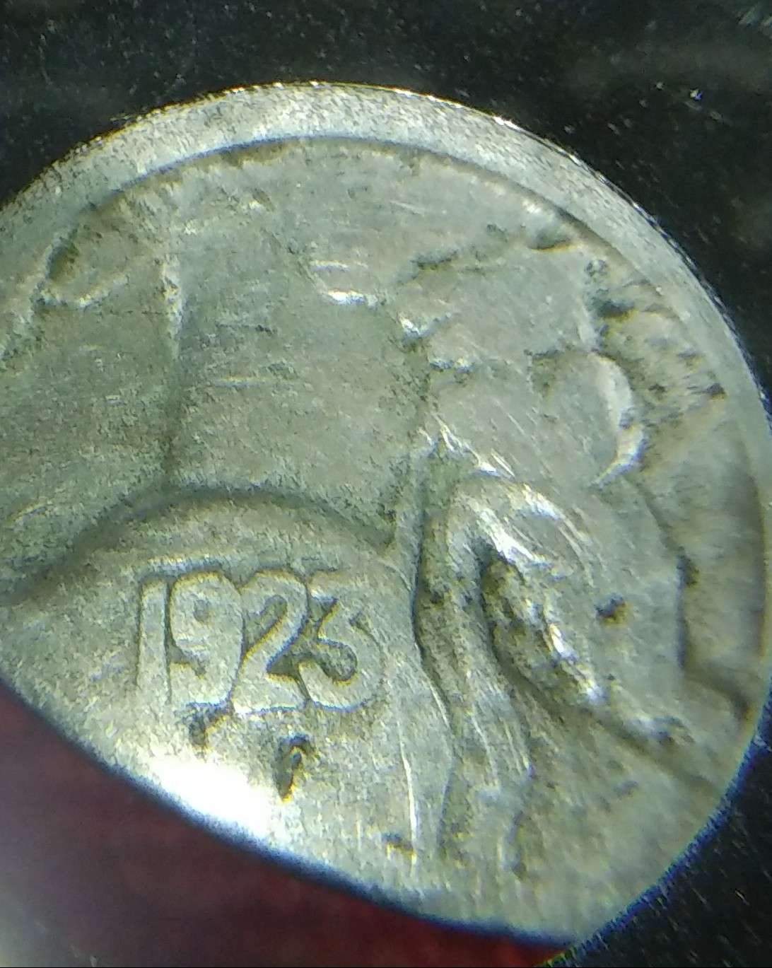 1923-S-DDO-001-Buffalo-Nickel