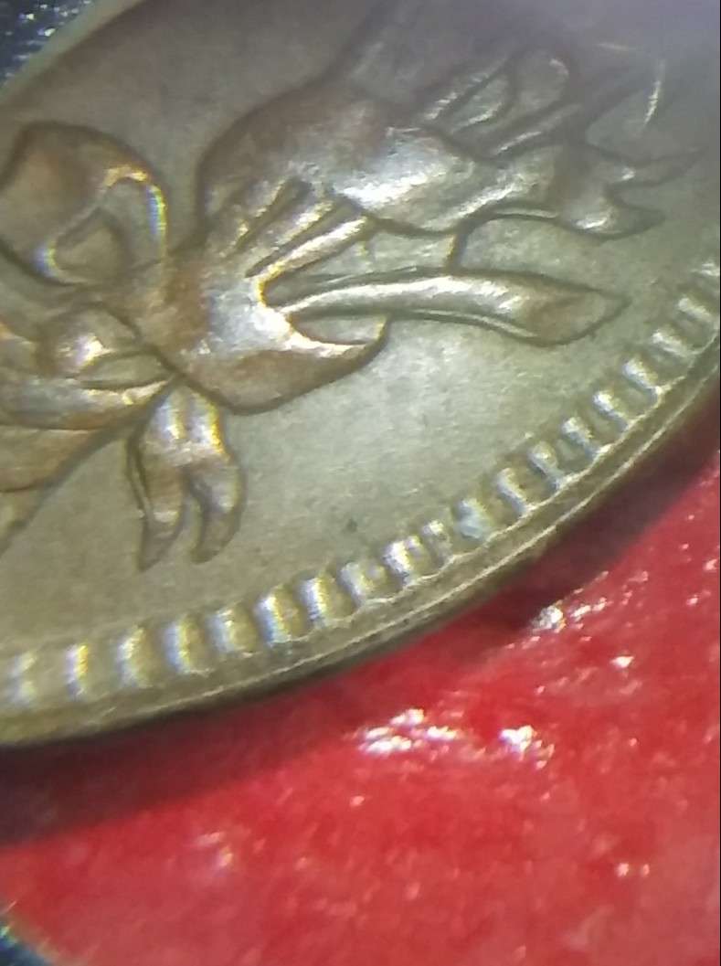 1889-Indian-Head-Cent-Reverse-Longacre-Doubling?